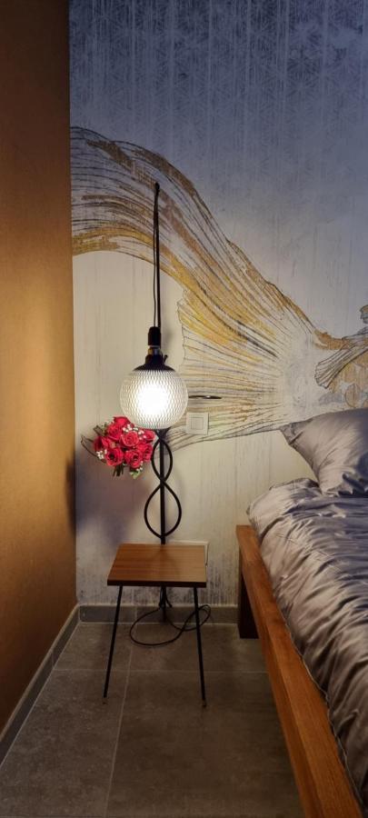 Logies La Chevre Folle - Lodging & Cooking In Style With Shared Kitchen ออสเทนด์ ภายนอก รูปภาพ